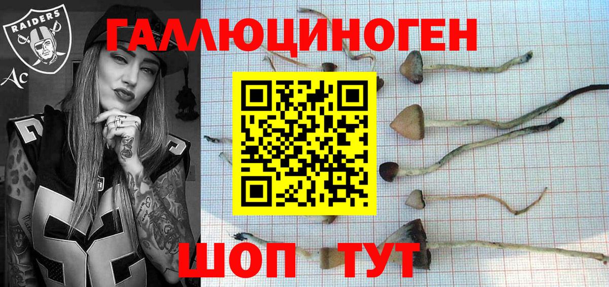 Галлюциногенные грибы Psilocybine cubensis Королёв