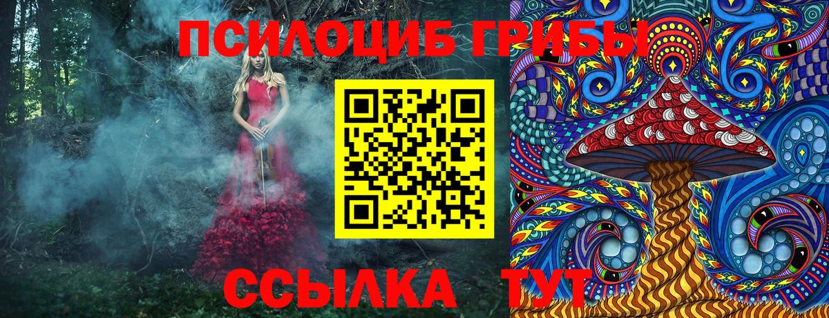 Галлюциногенные грибы прущие грибы  Псилоцибиновые грибы Cubensis  Королёв  Вход с VPN 